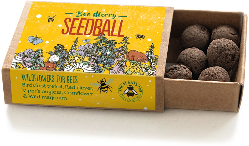 Wildflower Stocking Filler Seed Boxes