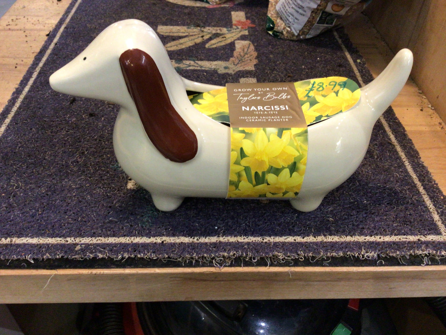 Taylor’s Bulbs Grow Your Own Novelty Planter