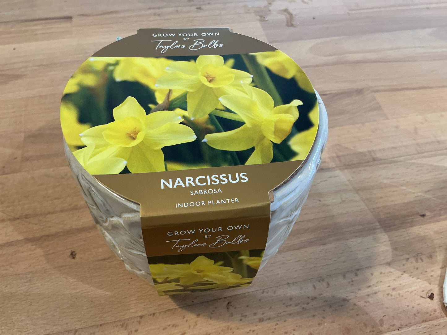 Taylors Bulbs Grow Your Own Novelty Planters