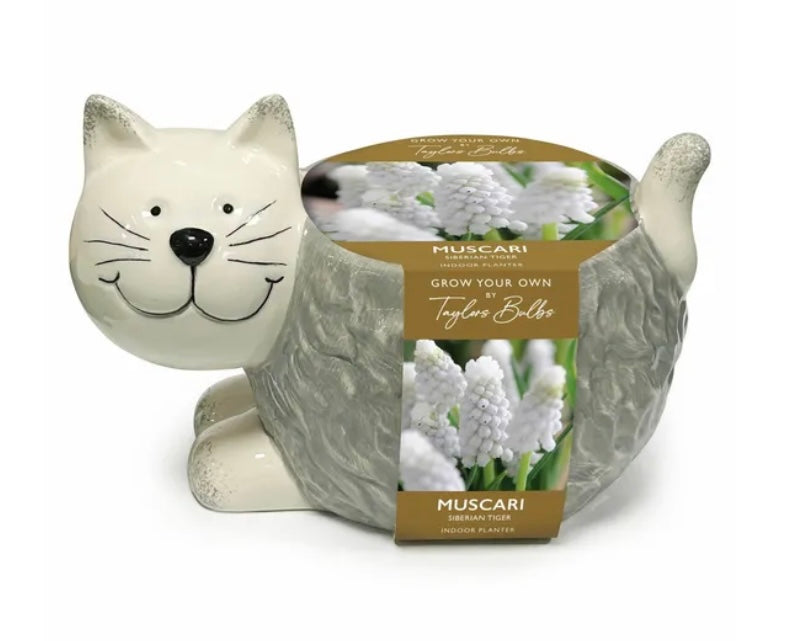 Taylor’s Bulbs Grow Your Own Novelty Planter