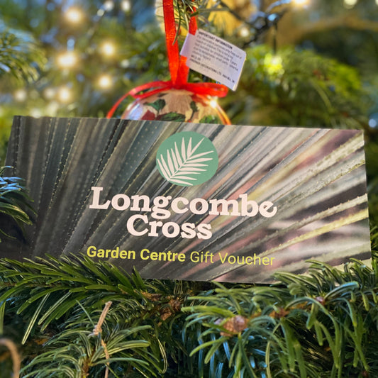 Gift Card - Voucher