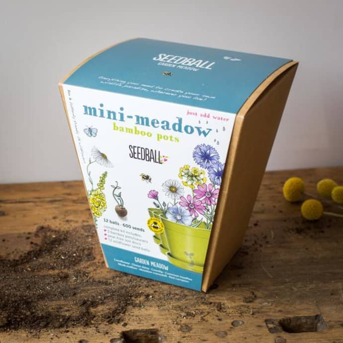Mini Meadow Bamboo Pots - 3 Pots