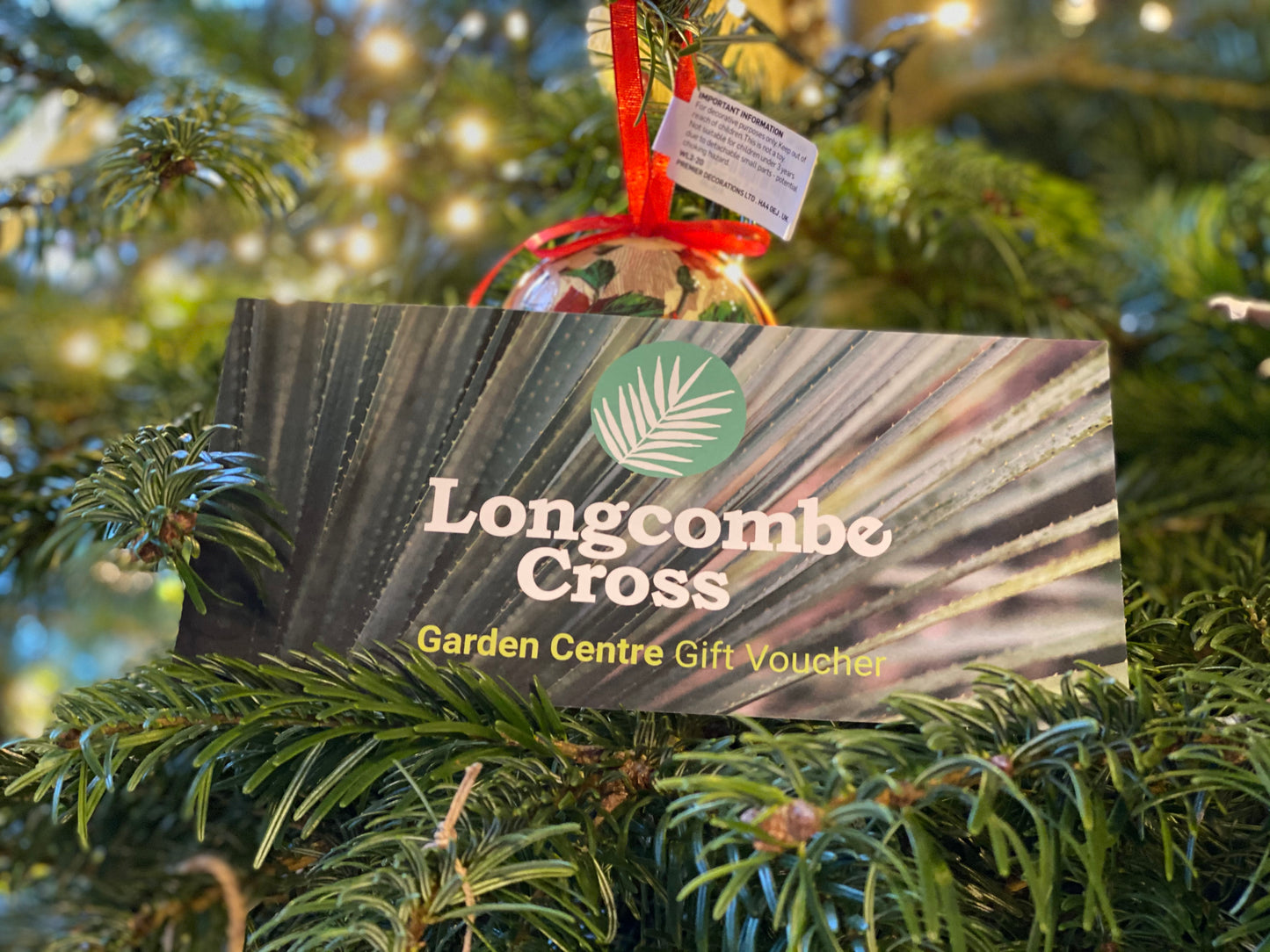 Gift Card - Voucher