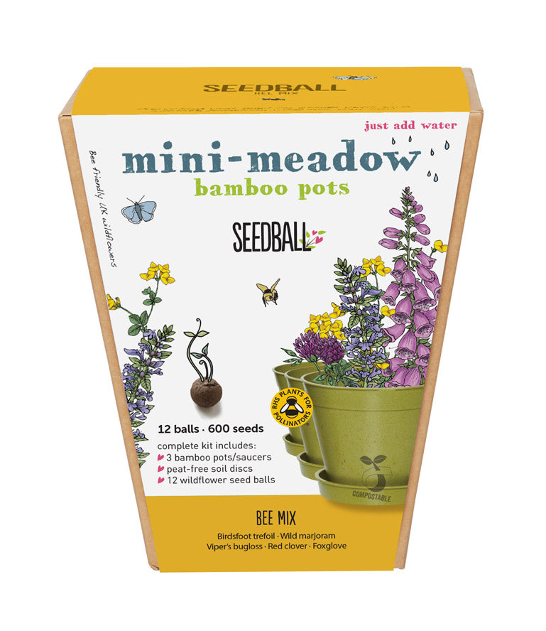 Mini Meadow Bamboo Pots - 3 Pots