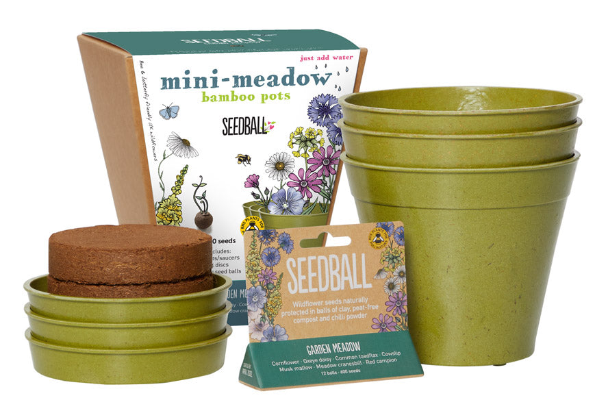 Mini Meadow Bamboo Pots - 3 Pots