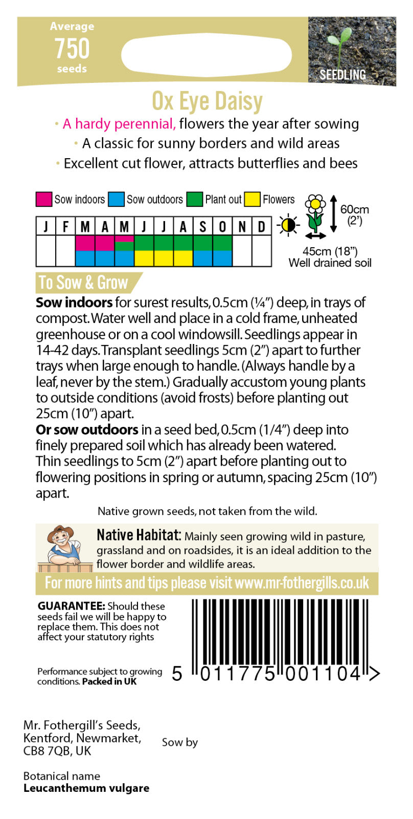 Wildflower Seeds