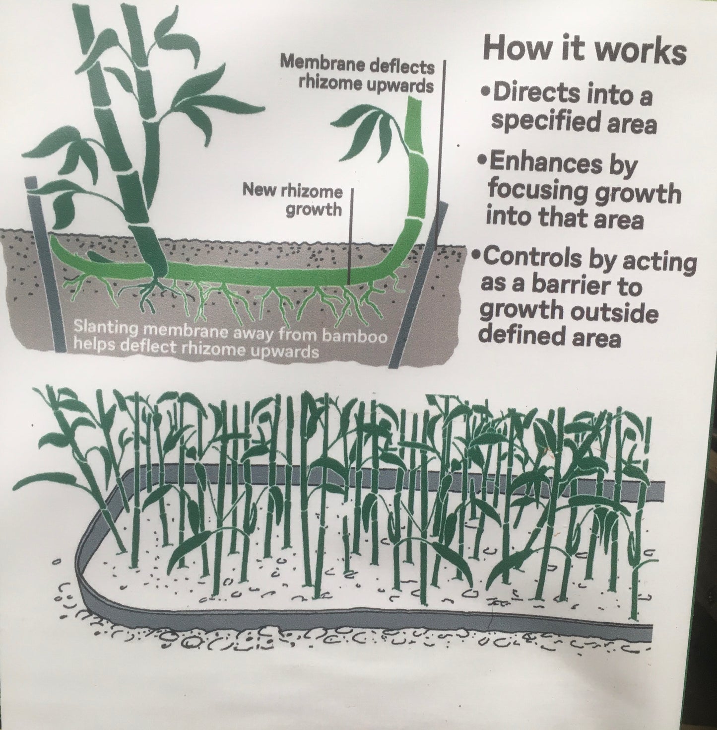 HSK Bamboo Control System