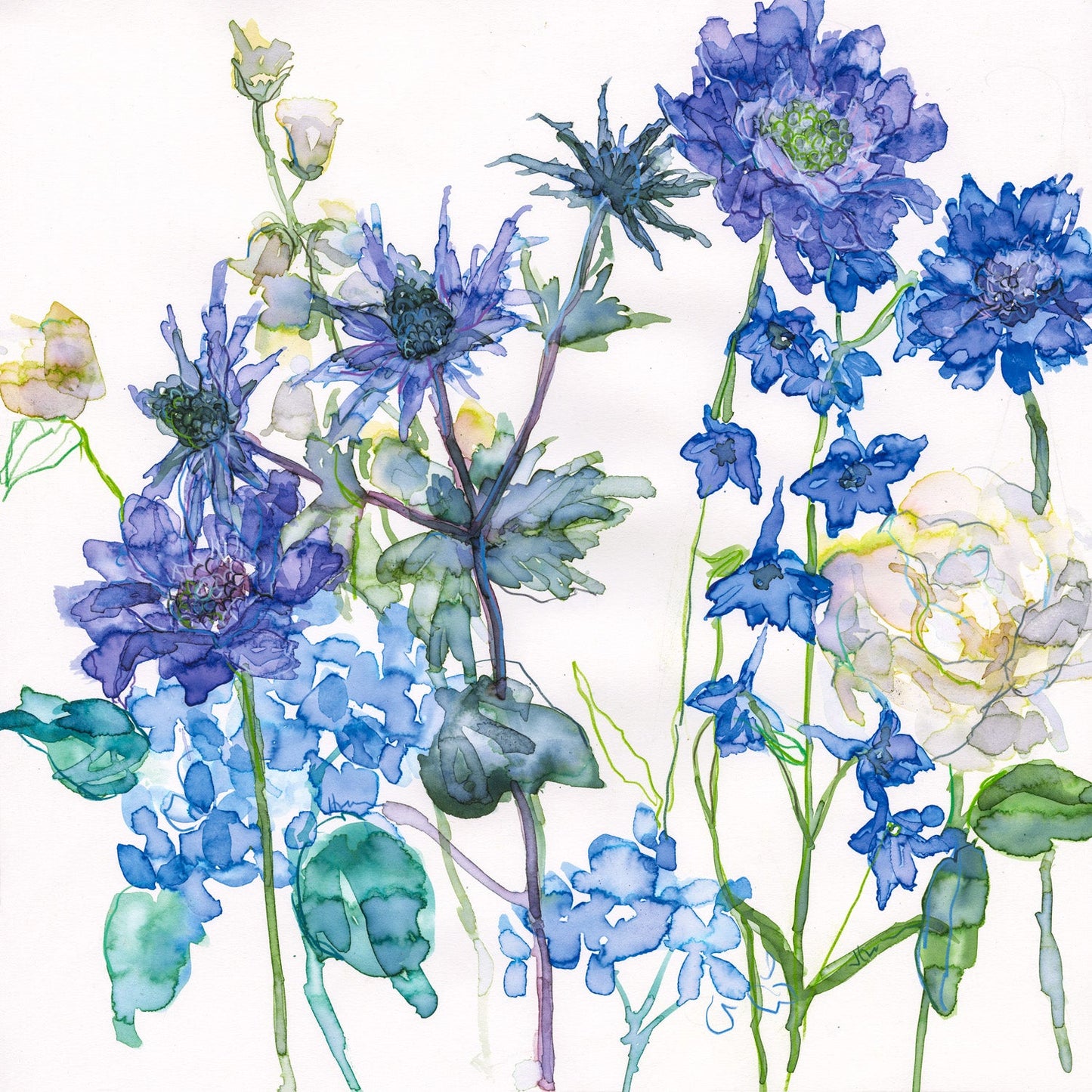 Jessica Trotman floral greeting cards - single