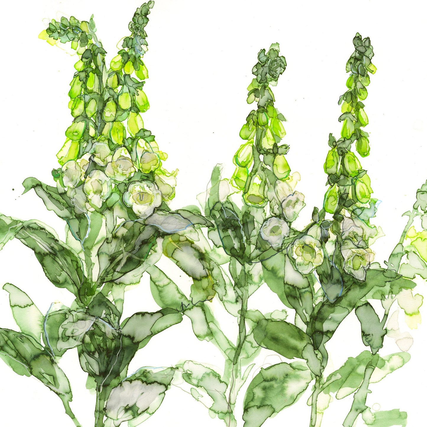 Jessica Trotman floral greeting cards - single