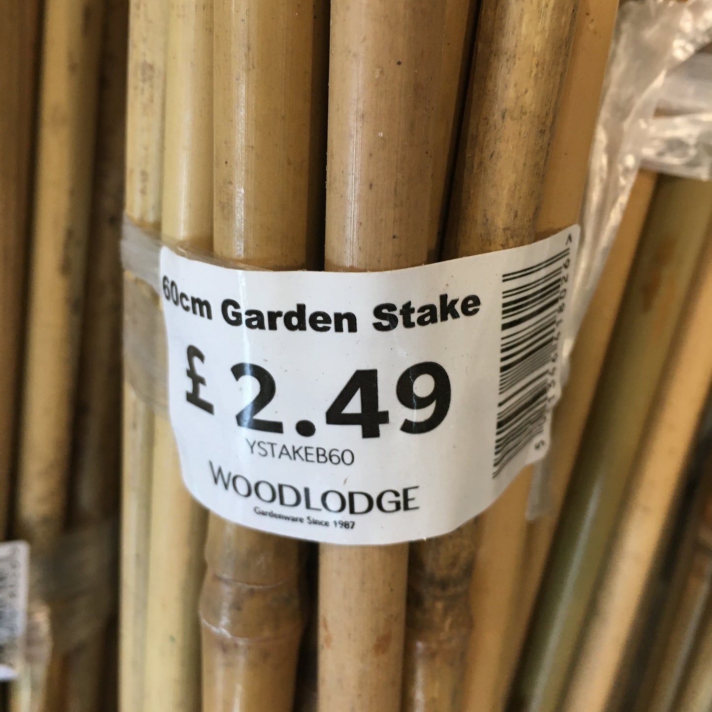 Bamboo Canes