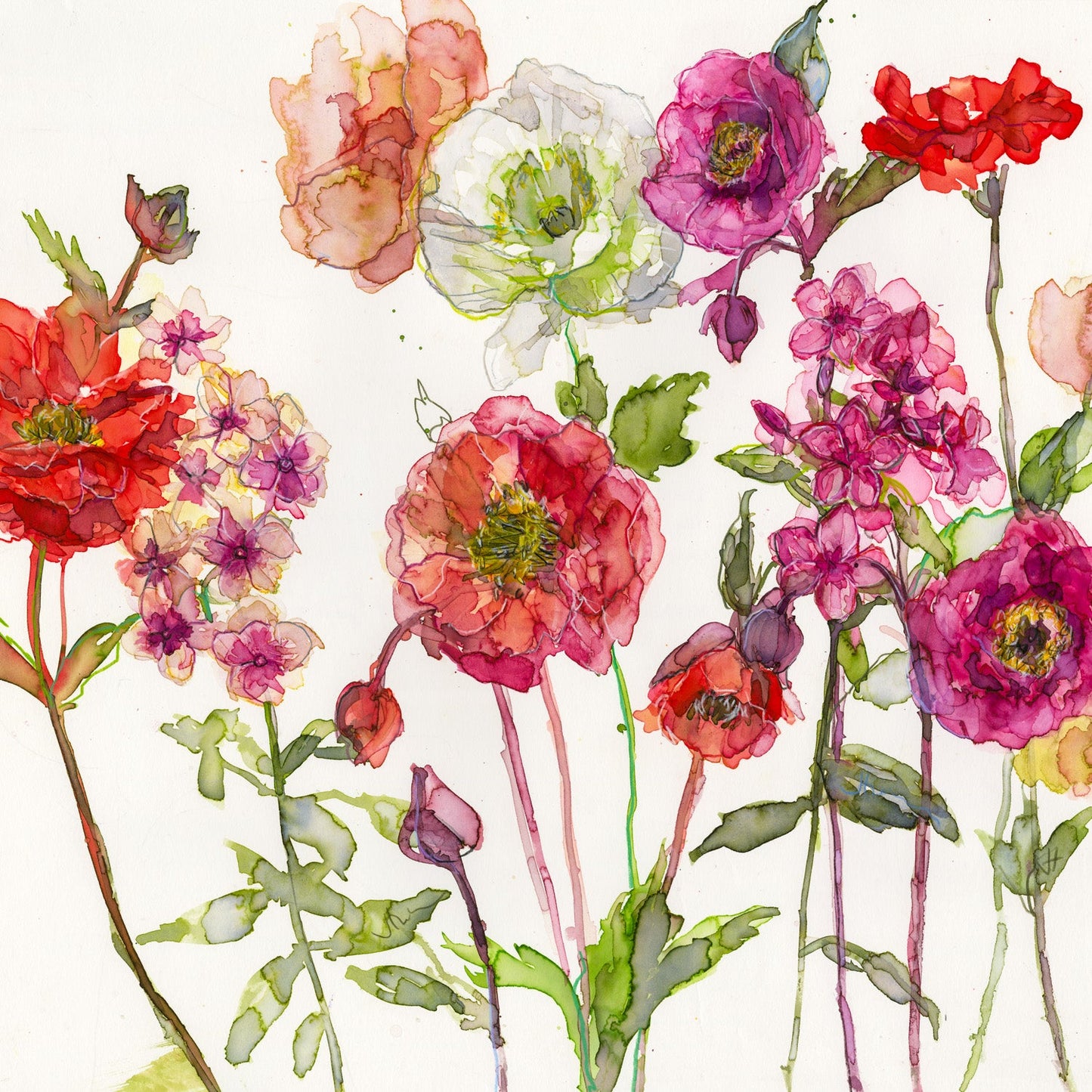Jessica Trotman floral greeting cards - single