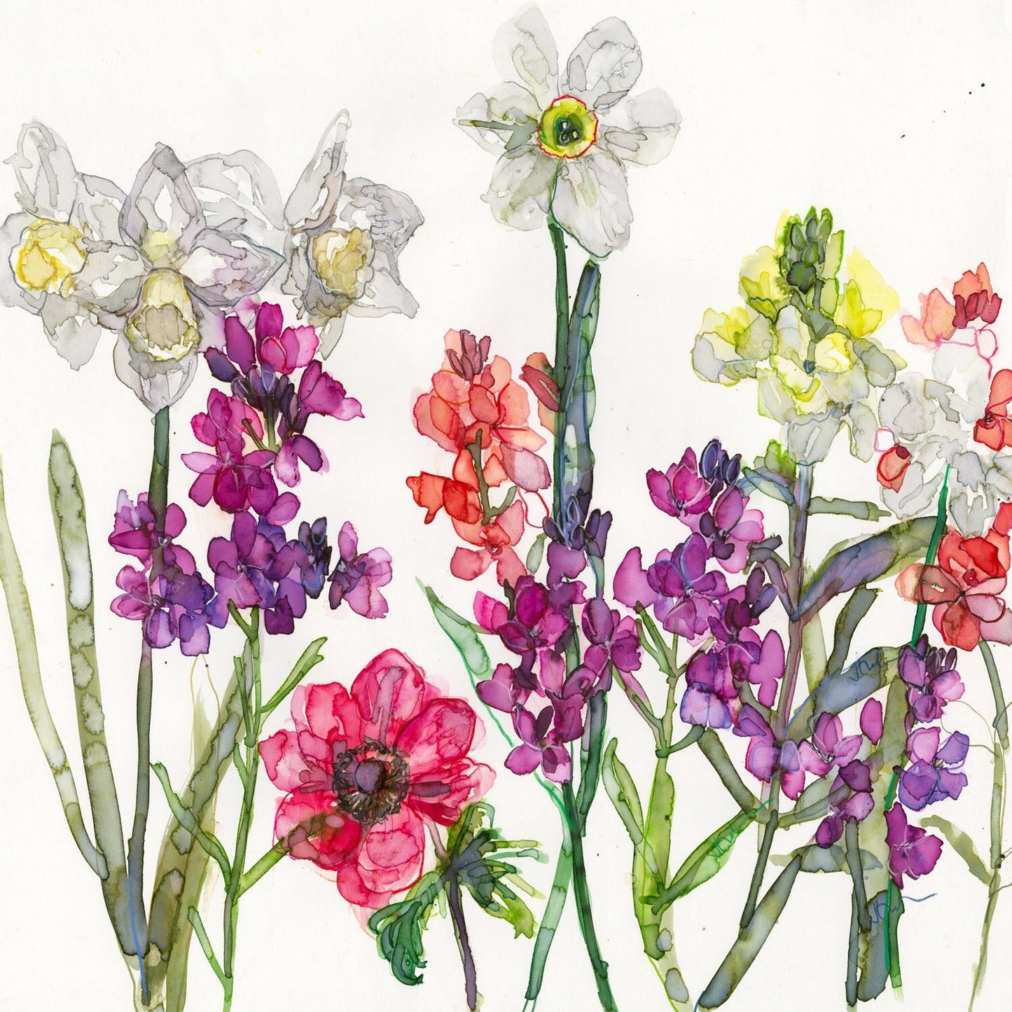 Jessica Trotman floral greeting cards - single