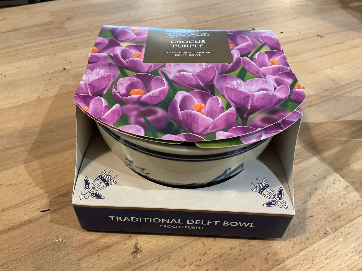 Taylors Bulbs Grow Your Own Range