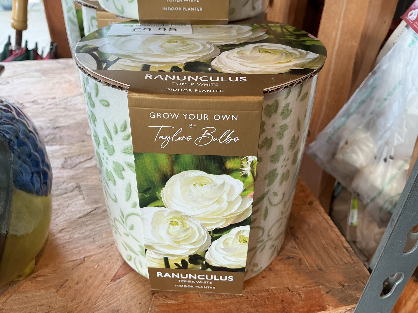 Taylors Bulbs Grow Your Own Novelty Planters