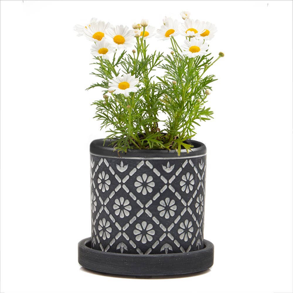 Balter Pot with Saucer for Houseplants, Cacti, Succulents