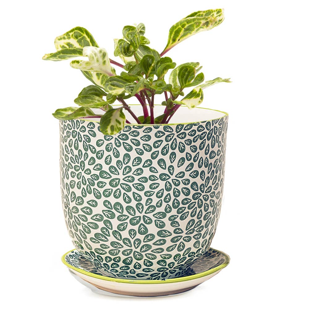 Liberte 3 - Ceramic Pot with Saucer and Drainage Hole