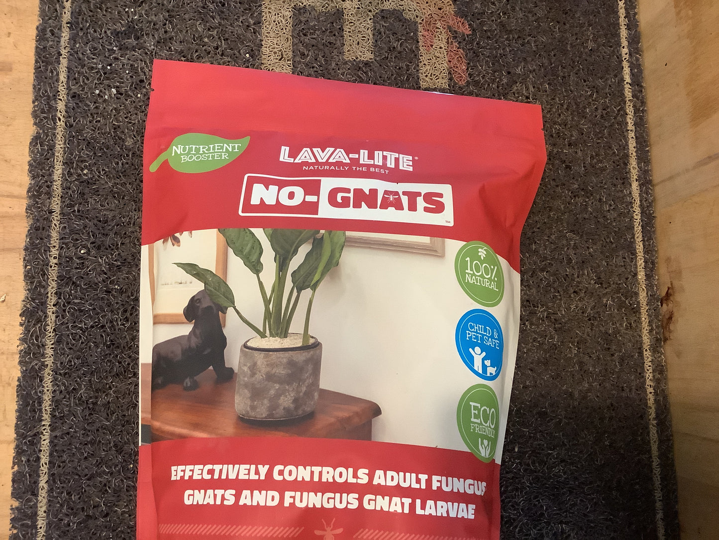 Lava Lite No Gnats 3L