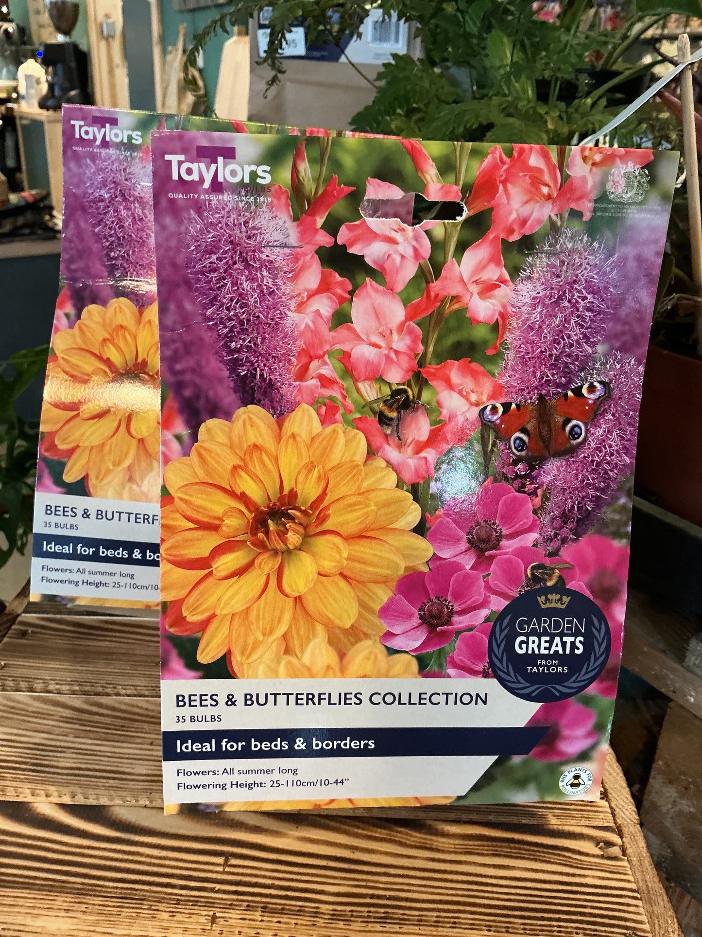 Taylors Bulbs Grow Your Own Range