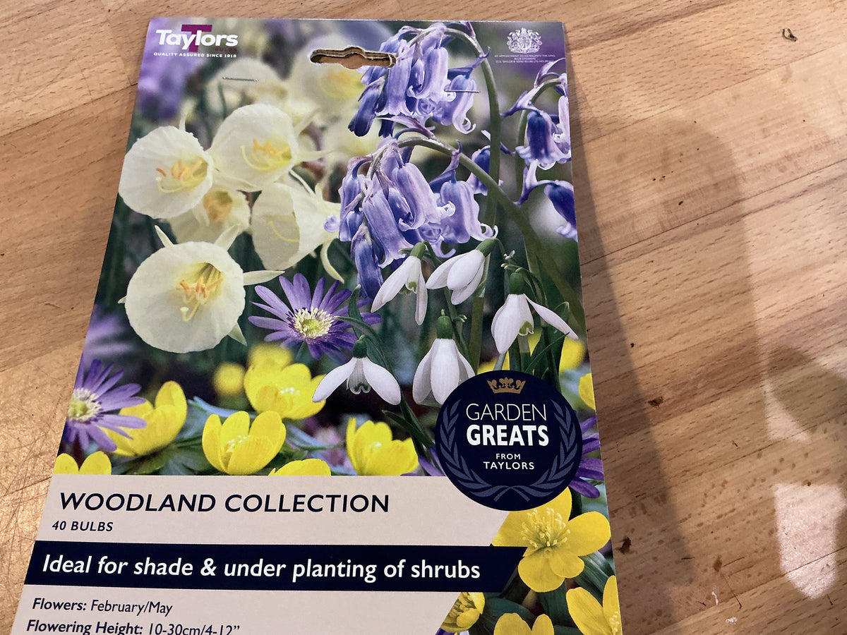 Taylors Bulbs Grow Your Own Range