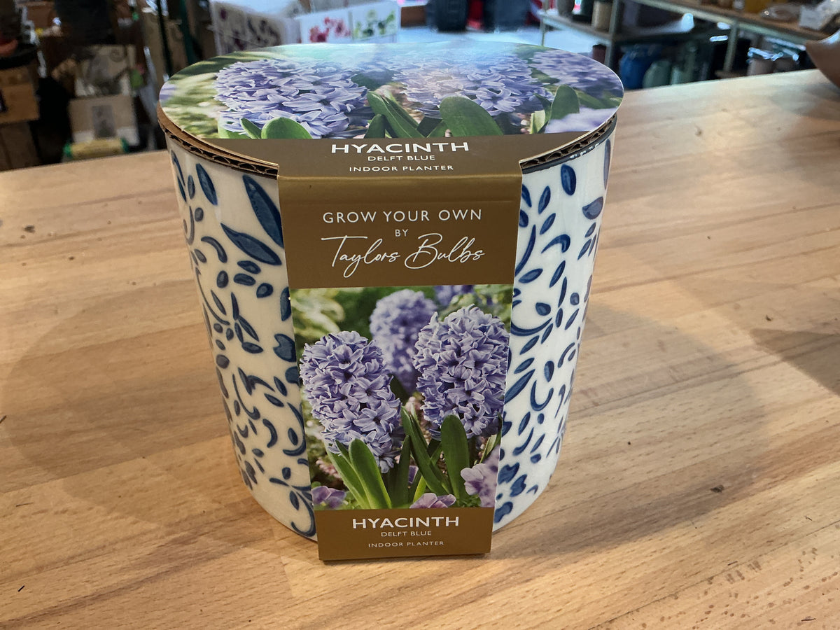 Taylors Bulbs Grow Your Own Range