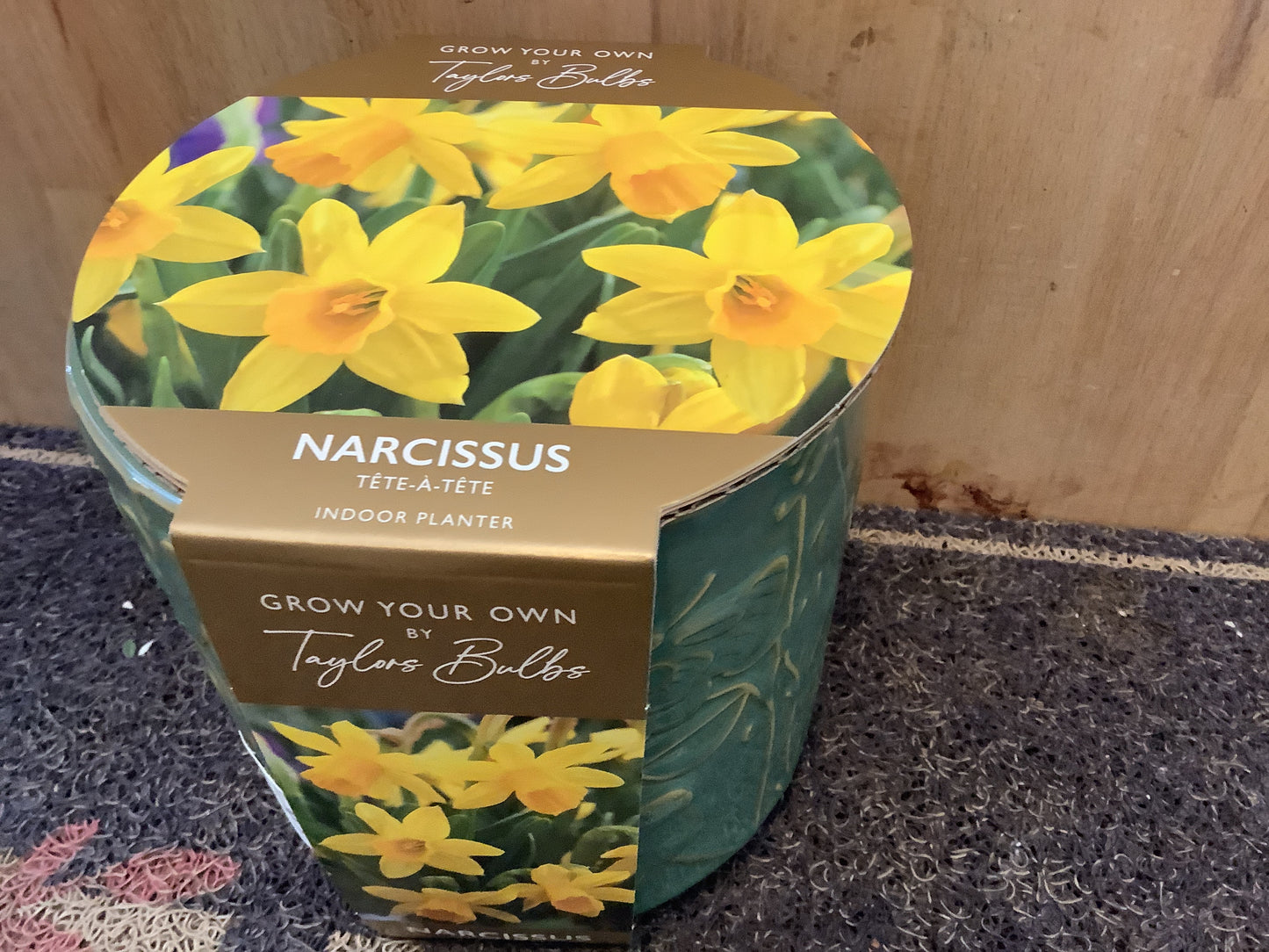 Taylors Bulbs Grow Your Own Novelty Planters