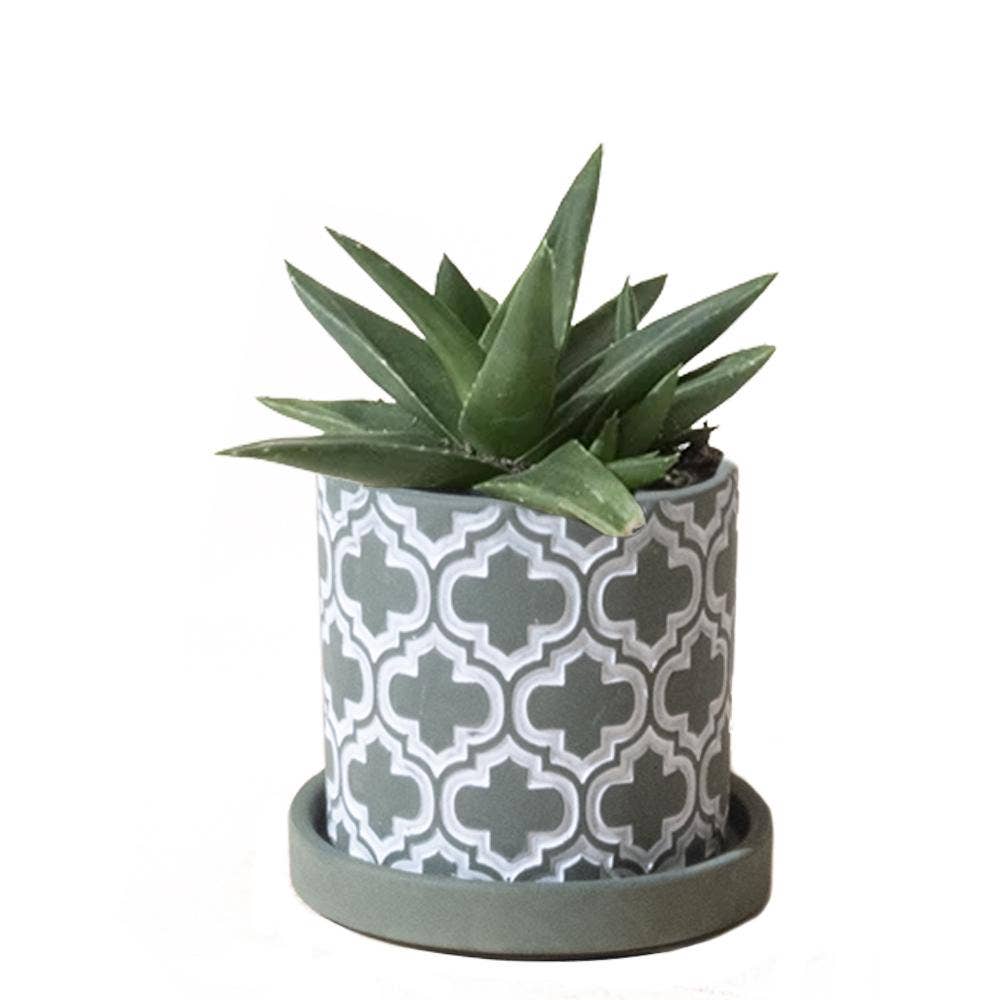 Balter Pot with Saucer for Houseplants, Cacti, Succulents