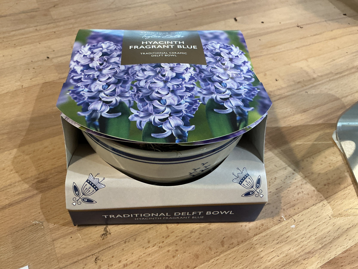Taylors Bulbs Grow Your Own Range