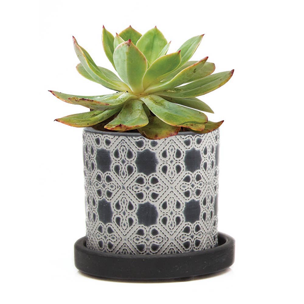 Balter Pot with Saucer for Houseplants, Cacti, Succulents