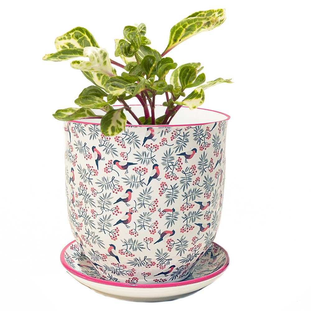 Liberte 3 - Ceramic Pot with Saucer and Drainage Hole