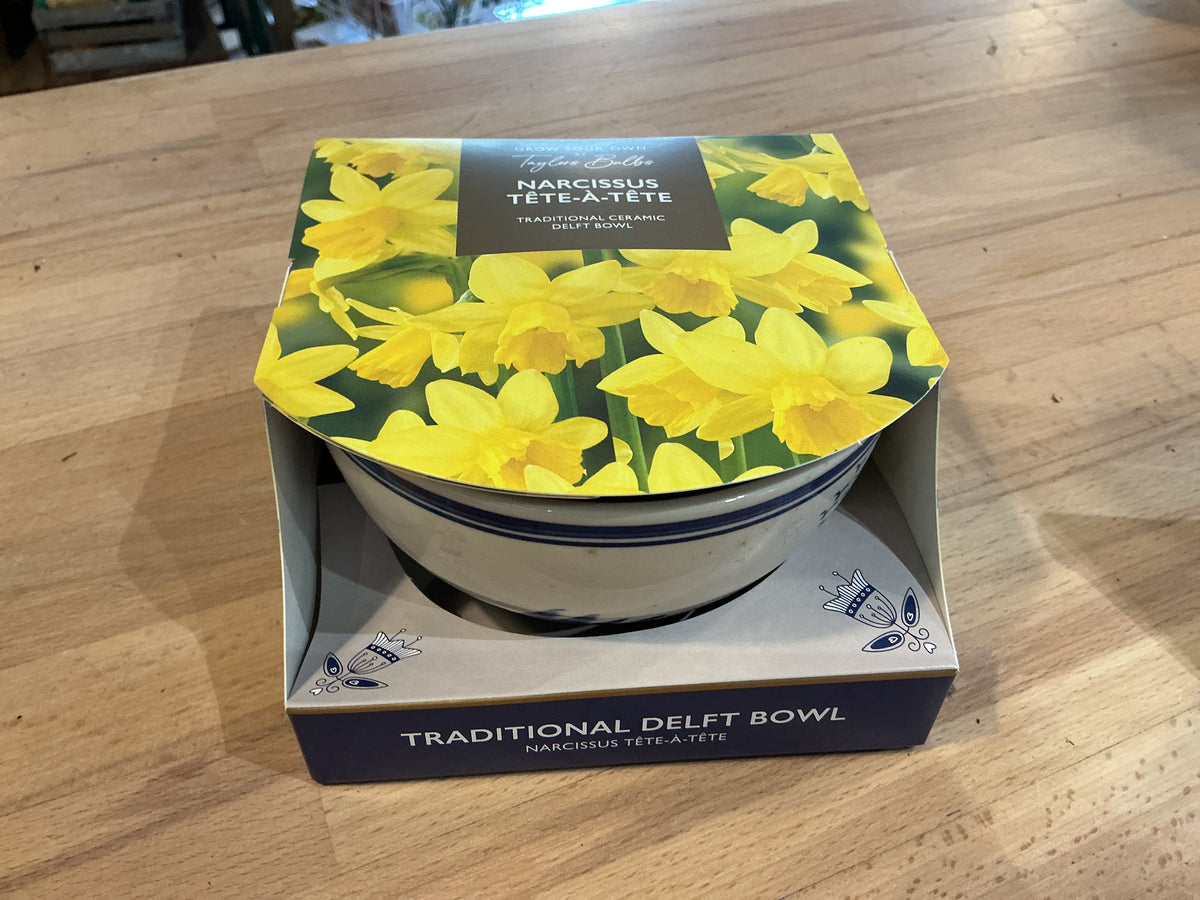 Taylors Bulbs Grow Your Own Range