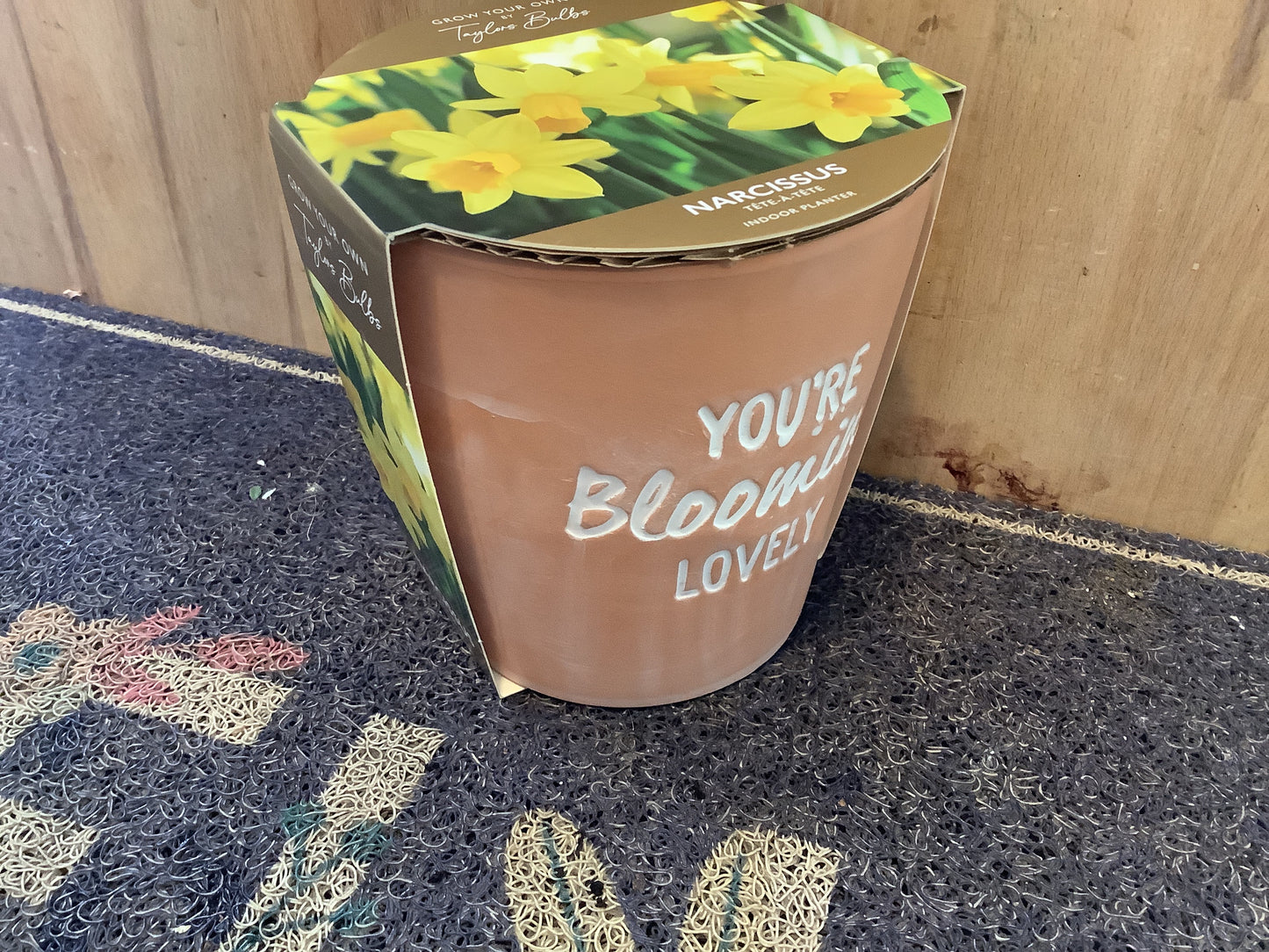 Taylors Bulbs Grow Your Own Novelty Planters