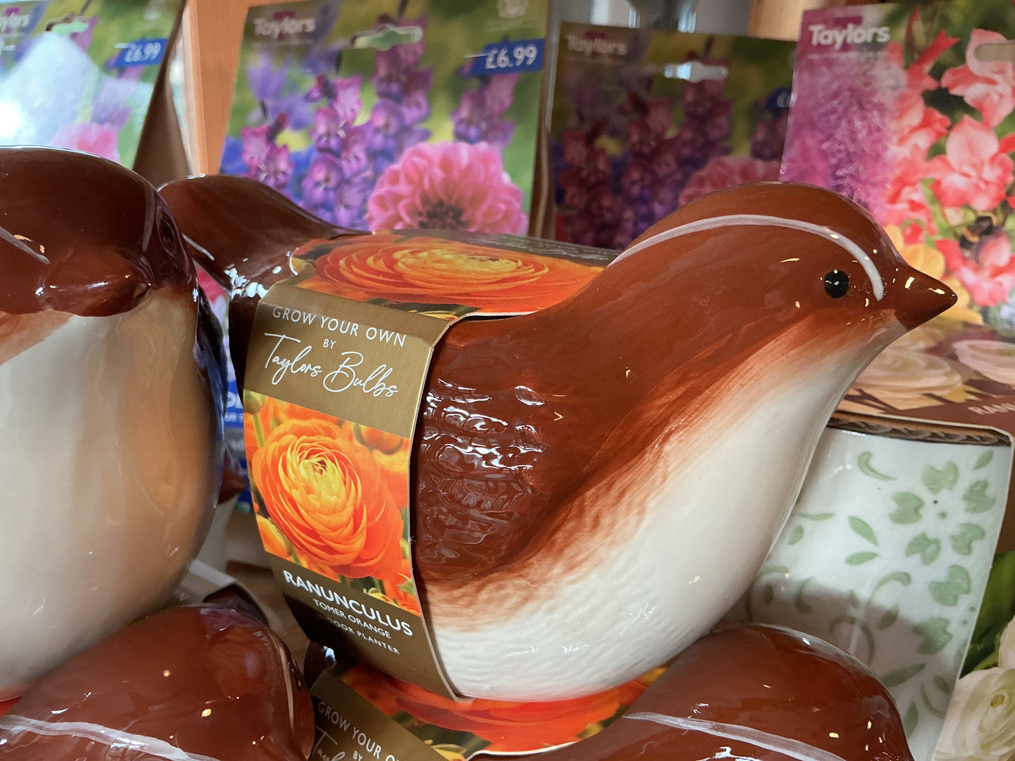 Taylors Bulbs Grow Your Own Novelty Planters