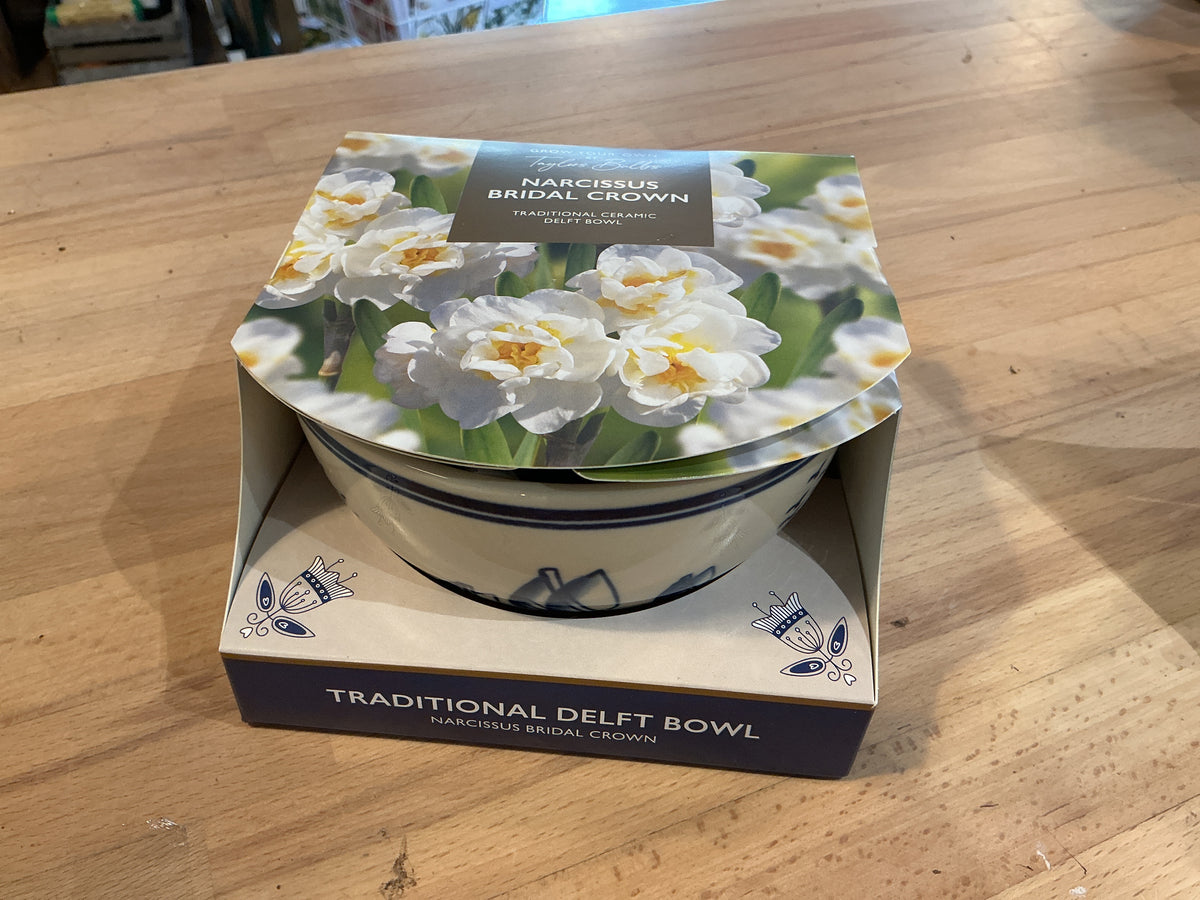 Taylors Bulbs Grow Your Own Range