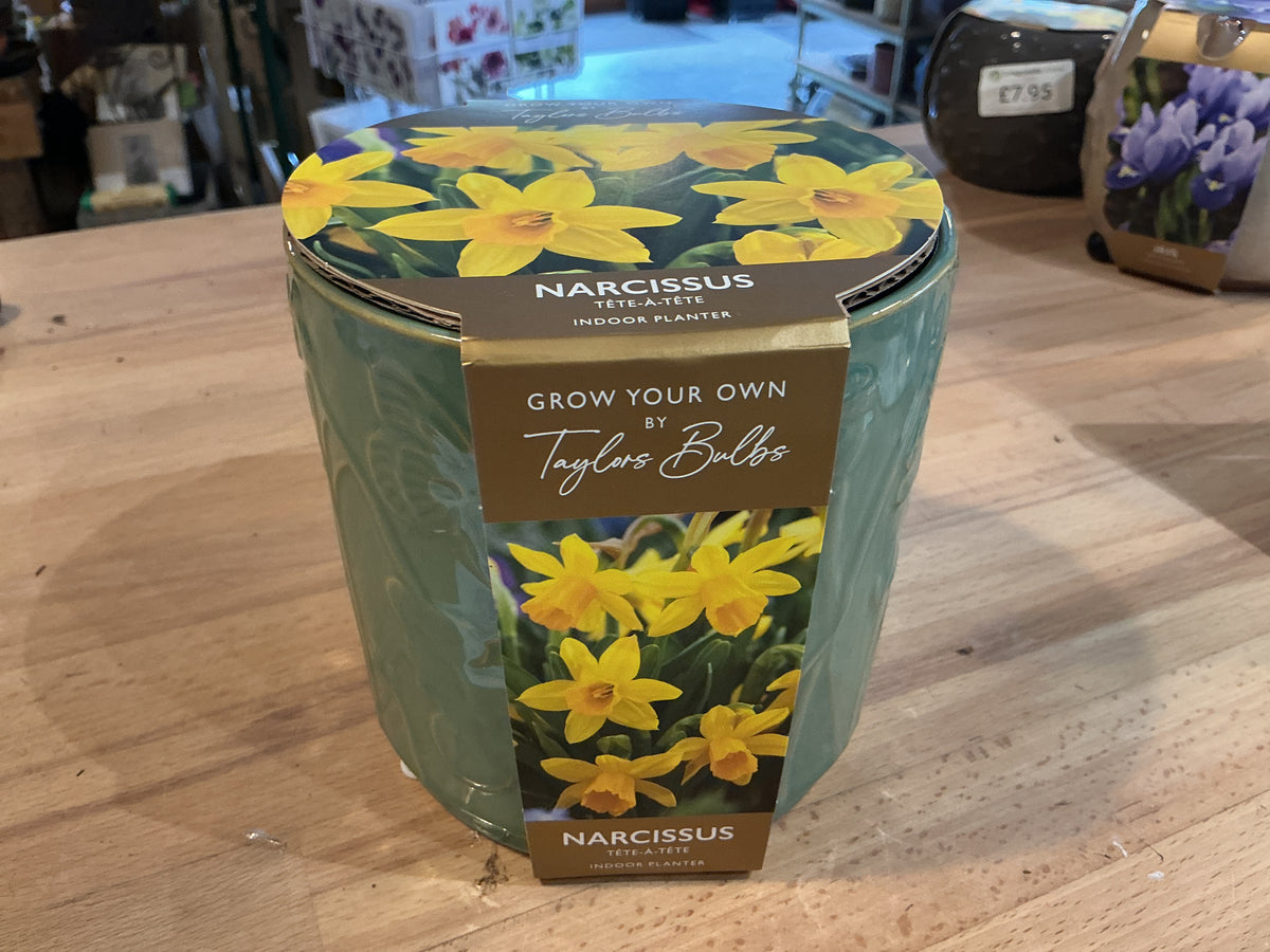 Taylors Bulbs Grow Your Own Range