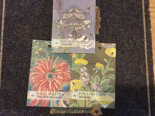 Pollinators Seeds from Thompson & Morgan and Suttons Kew