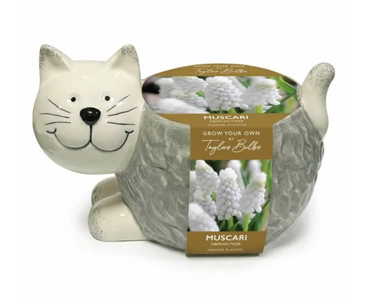 Taylor’s Bulbs Grow Your Own Novelty Planter