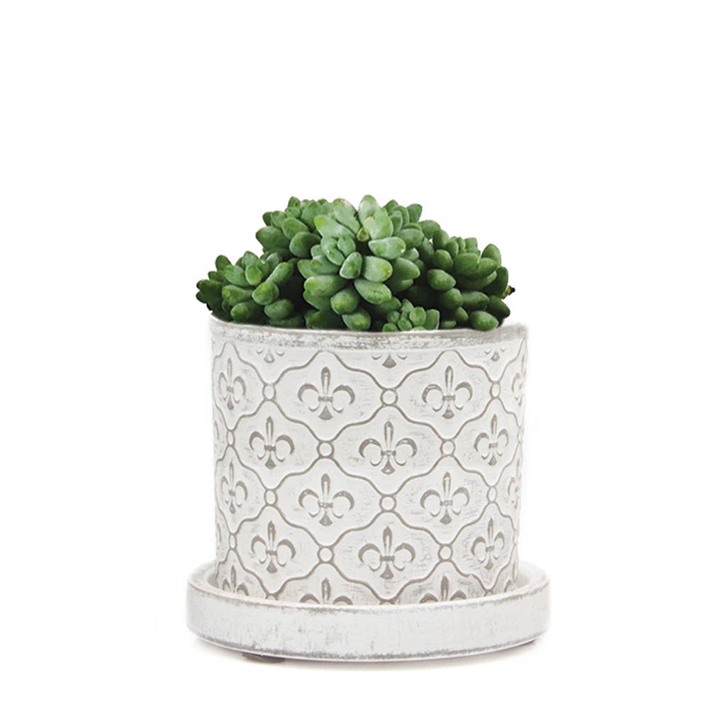 Balter Pot with Saucer for Houseplants, Cacti, Succulents