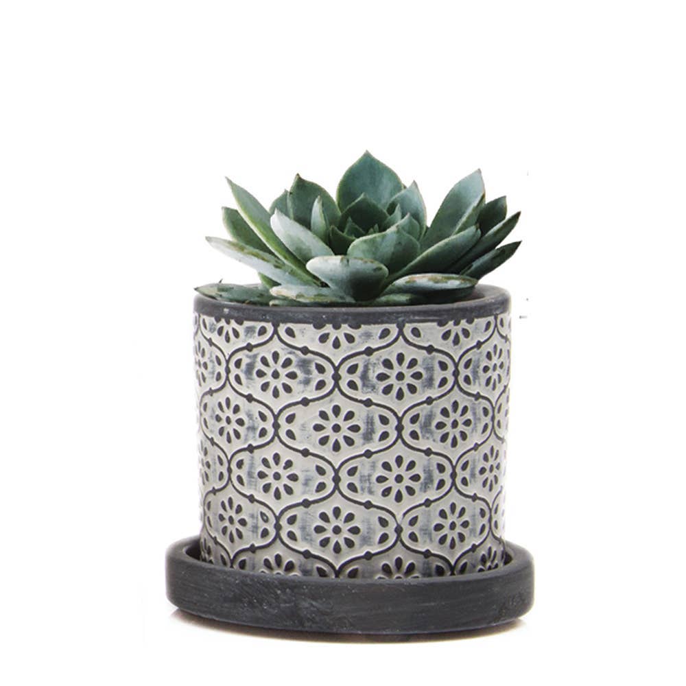 Balter Pot with Saucer for Houseplants, Cacti, Succulents