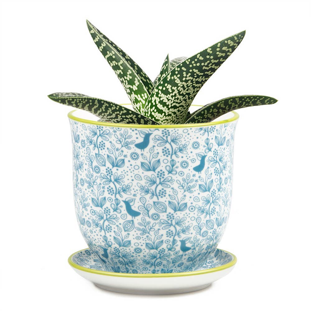 Liberte 3 - Ceramic Pot with Saucer and Drainage Hole