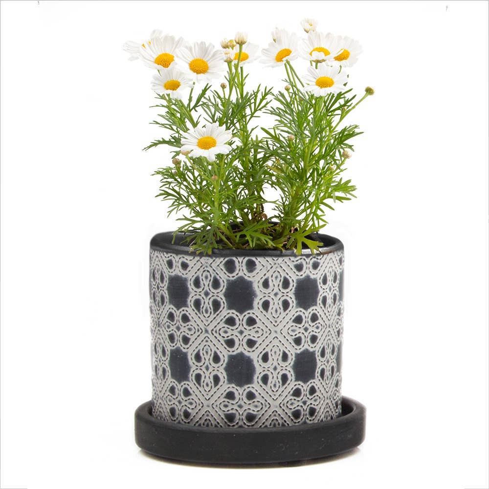 Balter Pot with Saucer for Houseplants, Cacti, Succulents