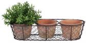 3 Terracotta Pots in Wire Basket