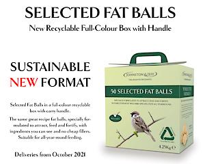 Fat Balls Bird Food