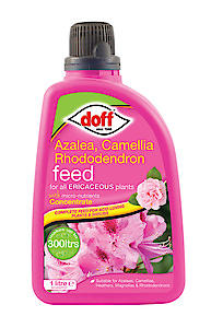 Doff Azalea, Camellia Rhododendron Feed