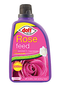 Doff Rose Feed