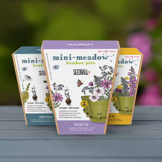 Mini Meadow Bamboo Pots - 3 Pots