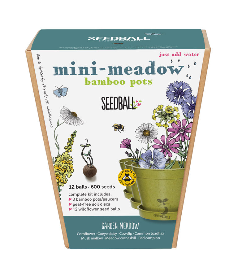 Mini Meadow Bamboo Pots - 3 Pots