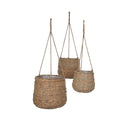 Sencha Hanging Baskets/Pots