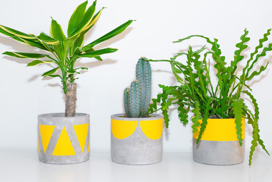 Pow Pots Medium Concrete - various designs £25
