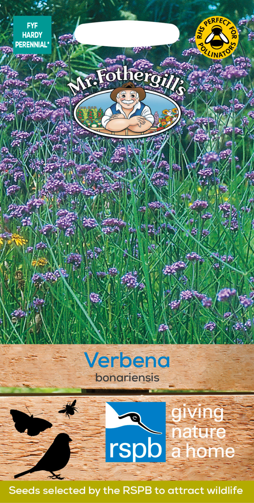 Verbena Seeds