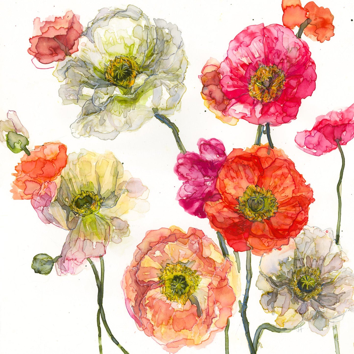 Jessica Trotman floral greeting cards - single